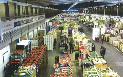 SEMMARIS – RUNGIS – 90 000 m² de modernisation
